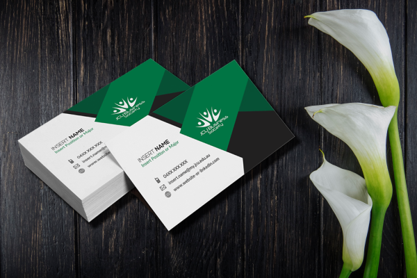 500 GSM + Velvet image 1